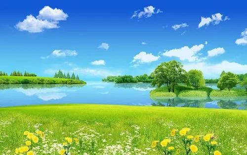 节能全自动高效